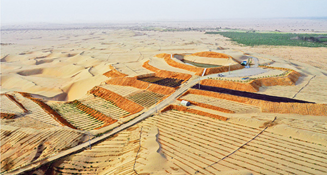 大漠之边的绿色传奇