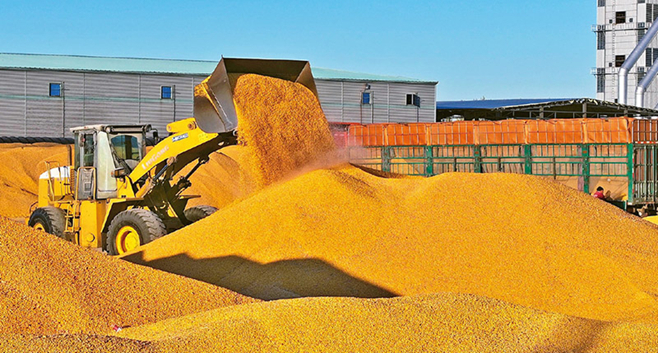 以推进国家安全体系和能力现代化护航中国式现代化